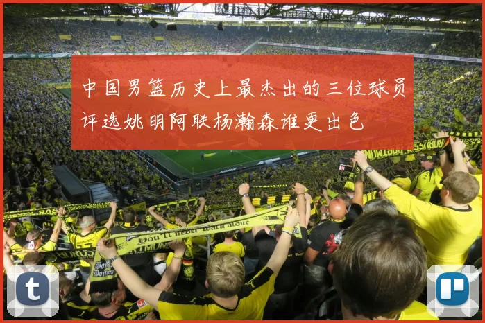 中国男篮历史上最杰出的三位球员评选姚明阿联杨瀚森谁更出色