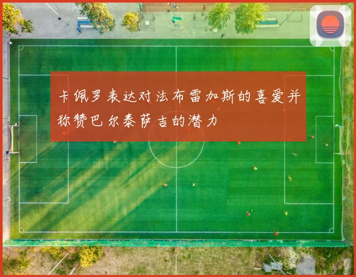 卡佩罗表达对法布雷加斯的喜爱并称赞巴尔泰萨吉的潜力