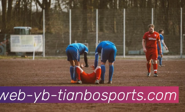 天博体育平台生态图